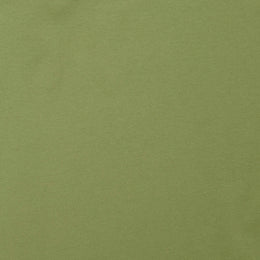 Classic T-Shirt in Fern