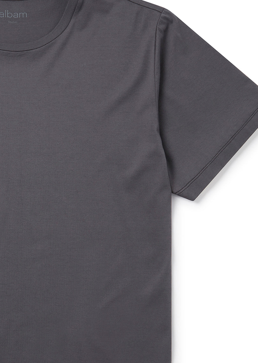 Classic T-Shirt in Charcoal